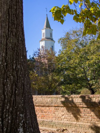 Photo for Bruton Parish Church's spire rises in colonial Williamsburg, Virginia, embraced by a blue sky and encircled by a tree trunk and lush leaves. - Royalty Free Image