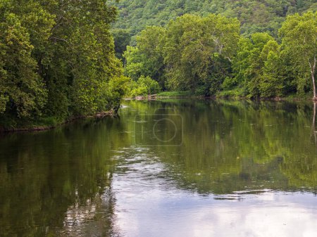 Photo for Amidst the embrace of Virginia's nature, the Shenandoah River South Fork meanders gracefully, flanked by a lush tapestry of dense, vibrant vegetation along its tranquil shores. - Royalty Free Image