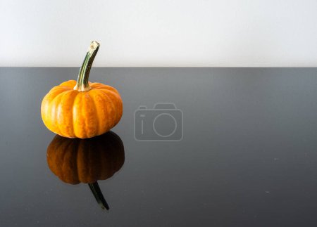Photo for From the side, behold a pumpkin with a substantial green stem, elegantly resting on a reflective black surface, framed by a pristine white wall. To the right, there's ample copy space for your creative needs. - Royalty Free Image