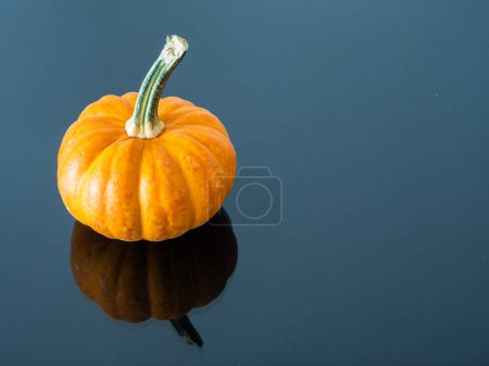 Photo for A pumpkin featuring a substantial green stem, set on a reflective black surface with a mirror-like reflection, backed by a clean white wall. On the right, there's generous copy space for your creative use. - Royalty Free Image