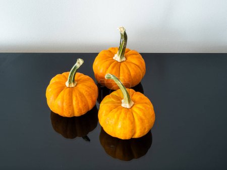 Photo for Three pumpkins, each crowned with substantial stems, arranged on a reflective black surface, with a clean white background wall providing a backdrop. Ample copy space is available to the right for your creative needs. - Royalty Free Image