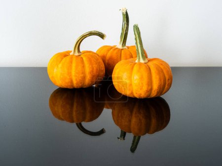 Photo for From a side view, three pumpkins with substantial stems grace a glossy black surface, mirroring their presence, against a white background wall. - Royalty Free Image