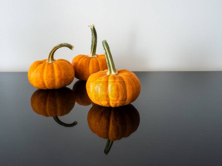 Photo for From the side, you'll find three pumpkins with substantial stems resting on a reflective black surface, set against a white background wall. To the right, there's generous copy space for your creative use. - Royalty Free Image