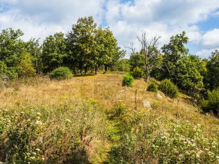 Photo for A late summer meadow surrounded by trees at the North Mountain and Laurel Run Trail, West Virginia and Virginia. - Royalty Free Image