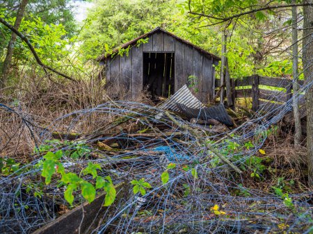 Photo for An overgrown scrap or junkyard featuring an old wooden shed nestled in the picturesque landscapes of West Virginia. - Royalty Free Image