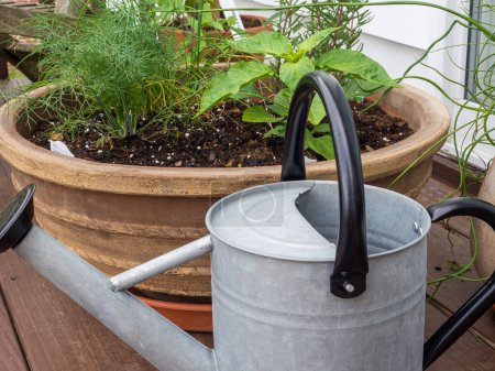 Photo for A rustic metal watering can and a terracotta bowl filled with vibrant garden herbs. - Royalty Free Image