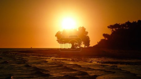 Téléchargez les photos : Coucher de soleil sur la plage d'Ifaty, Madagascar - en image libre de droit