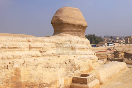 Interesting photo of the Sphinx from behind. Sphinx Giza Egypt Cairo 