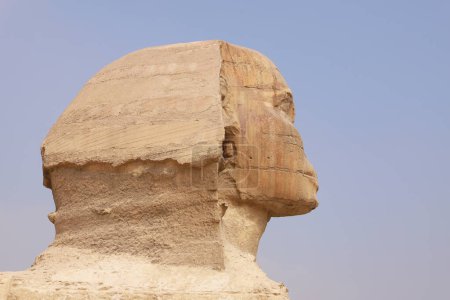 Portrait de tête Gros plan sur Sphinx Gizeh Le Caire Egypte Afrique