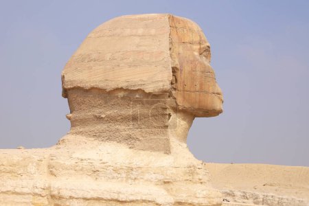 Portrait de tête Gros plan sur Sphinx Gizeh Le Caire Egypte Afrique