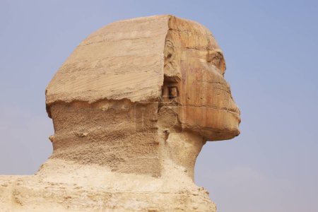 Retrato de la cabeza Primer plano de la esfinge Giza Cairo Egipto África