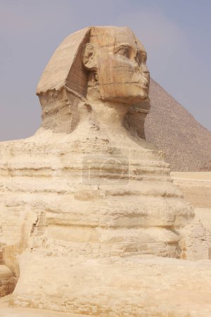 La esfinge con la gran pirámide asomándose detrás de su hombro. Giza Cairo Egipto África