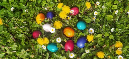 Foto de Primer plano de huevos de colores en el hermoso prado de primavera en las vacaciones de Pascua al aire libre en verde graas.Traditional símbolo de la fiesta cristiana y católica. Huevo para la caza del traditon para niños - Imagen libre de derechos