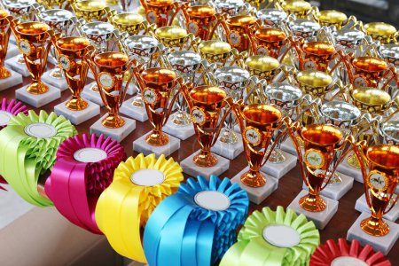 Schöne bunte Pokale und Schleifen für die Sieger und Teilnehmer des Reitturniers unter freiem Himmel      