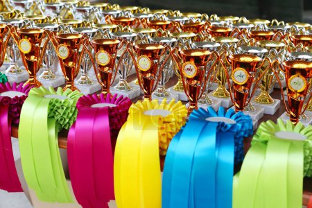 Group of beautiful colorful trophies and ribbons for the winners and participants at open air equestrian racehorse event      