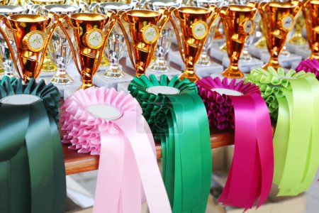 Groupe de magnifiques trophées et rubans colorés pour les gagnants et les participants à un événement équestre en plein air      