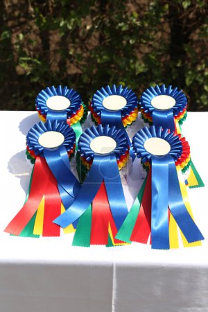 Wonderful equestrian prizes and awards for the participants at an open air equestrian event summertime outdoors