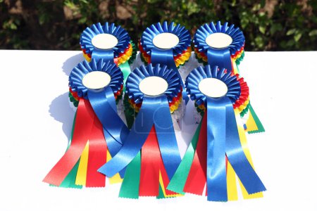 Merveilleux prix et récompenses équestres pour les participants à un événement équestre en plein air été en plein air