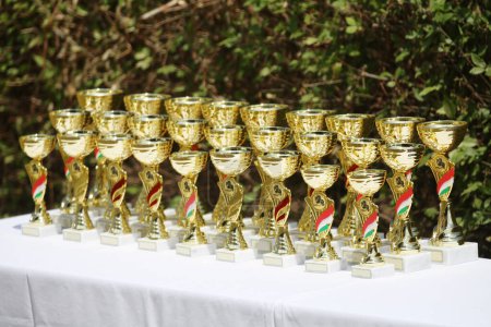 Maravillosos premios y premios ecuestres para los participantes en un evento ecuestre al aire libre durante el verano al aire libre