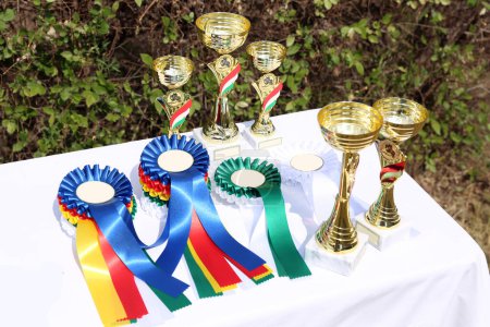 Wunderbare Reiterpreise und Preise für die Teilnehmer eines Open-Air-Reitturniers im Sommer unter freiem Himmel