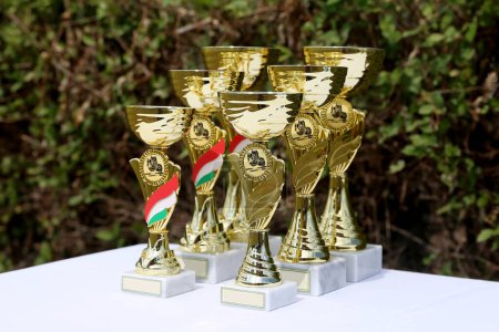 Maravillosos premios y premios ecuestres para los participantes en un evento ecuestre al aire libre durante el verano al aire libre