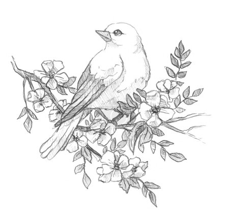 Beautiful spring art with easter bird. Hand drawn line.