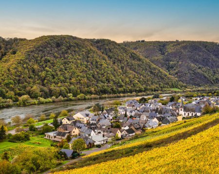 Photo for Bruttig-Fankel village in the valley between steep vineyards and rolling hills on Moselle river in Cochem-Zell, Germany - Royalty Free Image