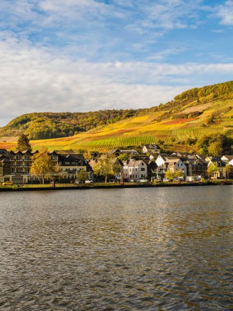 Photo for Ellenz-Poltersdorf village Vineyards on Moselle river in Cochem-Zell district, Germany - Royalty Free Image