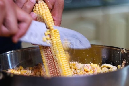 Photo for Artisanal preparation of corn cachapas, a typical Venezuelan dish. documeltal proces - Royalty Free Image