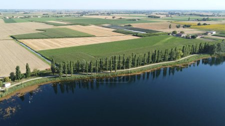 Téléchargez les photos : Lacs au milieu des champs de cultures sur les plaines de Padan,. Photo de haute qualité - en image libre de droit