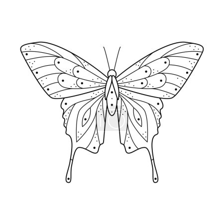 Illustration for Stylized black line art butterfly. Hand drawn linear ornated vector illustration. Ornament natural insect design for tattoo or makhenda, book cover, t-shirt print, poster or card. - Royalty Free Image