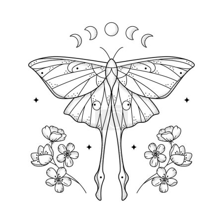 Illustration for Celestial line art grainy geometric luna moth, moon phases and flowers. Abstract mystic geometry butterfly with floral arrangement. Vector illustration. Design for tattoo, book cover, t-shirt print - Royalty Free Image