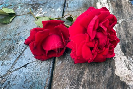 Photo for Two red roses on old wooden background. Roses on the vintage wood backdrop. - Royalty Free Image