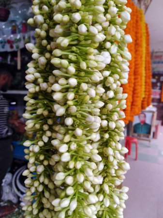 Foto de Flores de Gajra en la tienda de flores. Flora blanca de jazmín. Collar floral. - Imagen libre de derechos