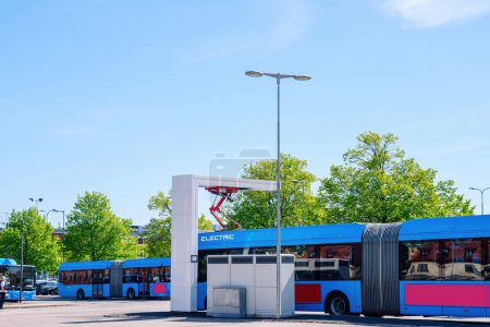 Eine Reihe himmelblauer Busse parkt auf einem Parkplatz, umgeben von Bäumen und unter einem wolkenverhangenen Himmel. Der Asphalt spiegelt ihre majestätische Präsenz wider, während sie auf ihr nächstes Busabenteuer warten