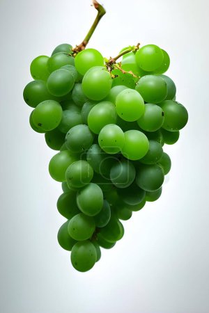 Téléchargez les photos : Bouquet de raisins verts sur fond blanc - en image libre de droit