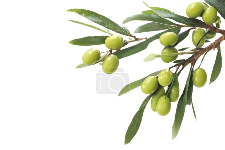Photo for Healthy Fresh Olives with a Splash of Water - Royalty Free Image