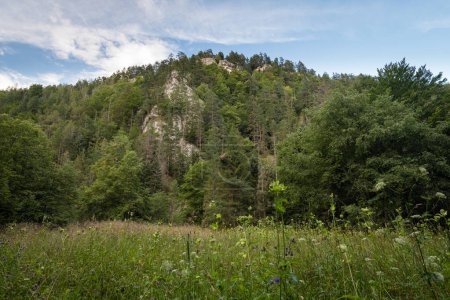 Foto de Prado debajo de la vista de Tomás en el Parque Nacional Slovak Paradise, Eslovaquia - Imagen libre de derechos