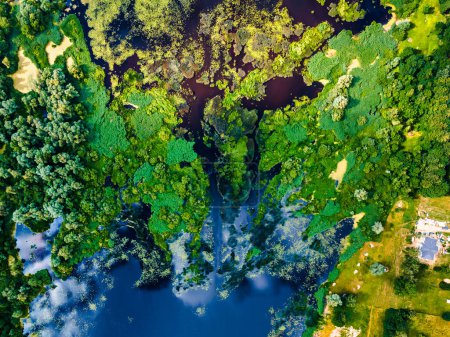 Téléchargez les photos : Vue de dessus de la rivière backwater avec une belle végétation texturée. Contexte - en image libre de droit