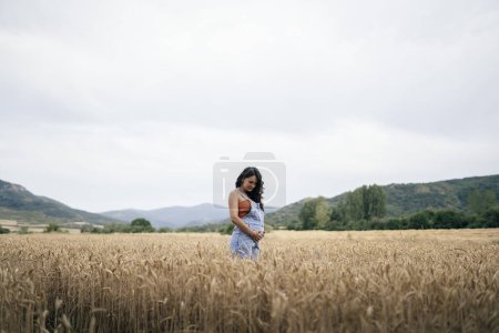Photo for Pregnant woman standing in wheat field. She's touching and looking her belly. - Royalty Free Image