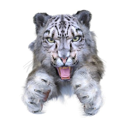 Photo for 3D rendering of a snow leopard - Royalty Free Image