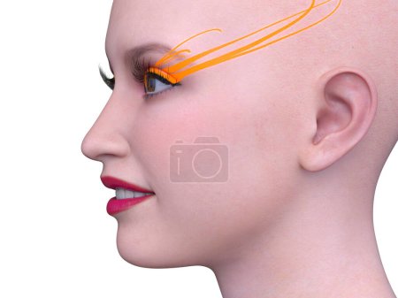 3D-Darstellung des Gesichts einer Frau in Nahaufnahme