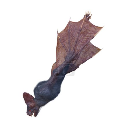 3D rendering of a monster bat