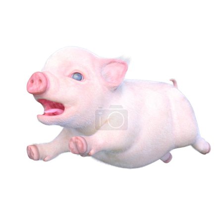 3D-Darstellung eines Miniaturschweins