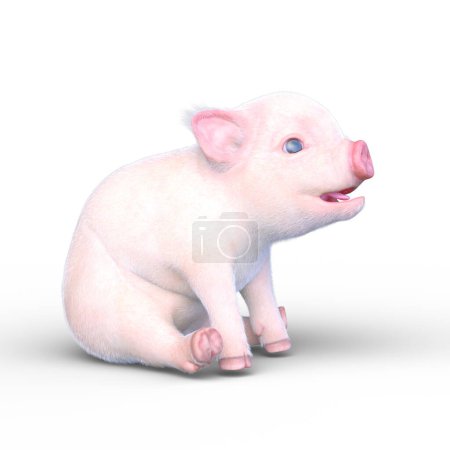 rendu 3D d'un cochon miniature
