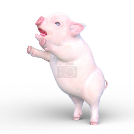 rendu 3D d'un cochon miniature