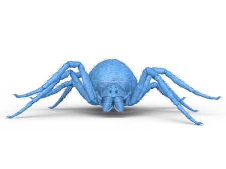 3D-Rendering einer Spinne