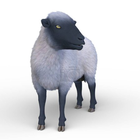 Téléchargez les photos : Rendu 3D d'un mouton - en image libre de droit