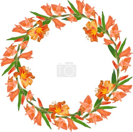 Illustration for Round wreath of buds of orange lilies and gladiolus - Royalty Free Image