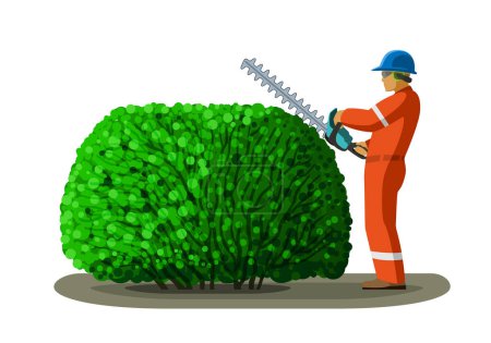 Photo for Arborist worker with hedge trimmer pruning tree. Clip art of tree surgeon gardener vector illustration on white background - Royalty Free Image